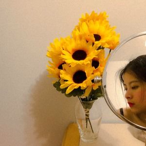 Meet your Posher, Tram